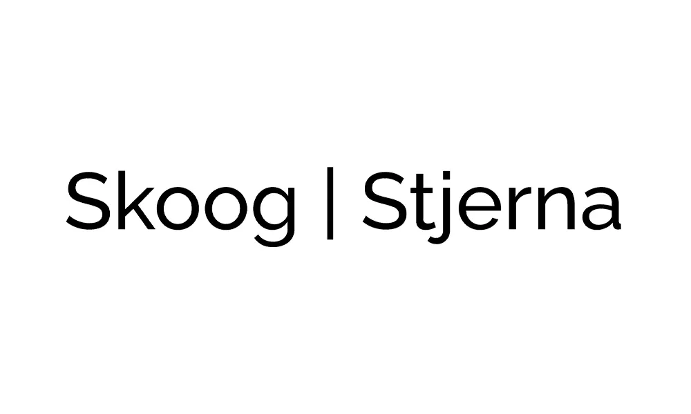 executive search Skoog Stjerna